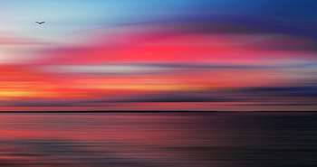 The Silence Same Bird Other Time, nature, sky, sea, ocean HD wallpaper
