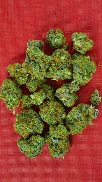 Marijuana Backgrounds - Cannabis Destiny HD phone wallpaper