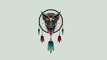 Cute Owl HD wallpaper