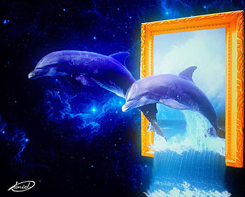dolphins, blue, sky, frame HD wallpaper