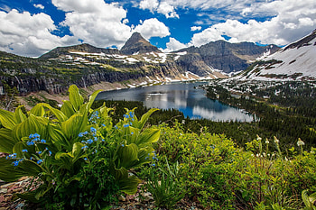 Landscape with mountain and lake, landscape, beautiful, rocks, serenity, tranquil, mountain, lake, wildflowers, reflection, clouds, view, sky, lovely HD wallpaper