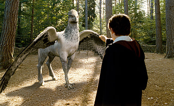 Buckbeak, Feel good moments, Harry Potter HD wallpaper