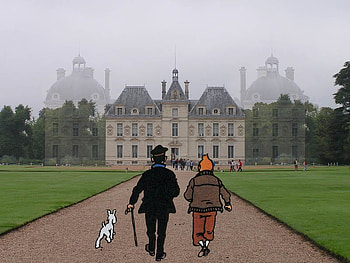 Tintin in Marlinspike, snowy, milou, marlinspike, tintin, captain haddock HD wallpaper