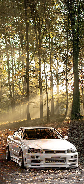GTR Nissan Skyline R34, Car, Forest, Sun HD phone wallpaper