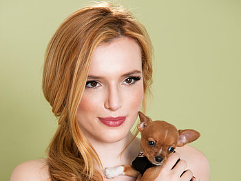 Bella Thorne With Dog, bella-thorne, celebrities, girls, dog HD wallpaper