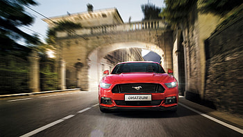 Ford Mustang 2017, ford-mustang, cars HD wallpaper