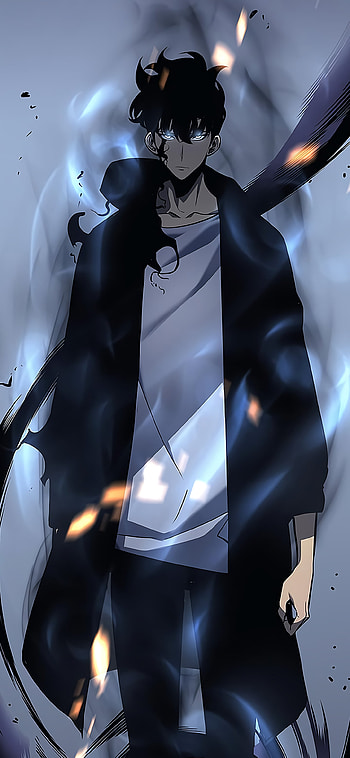 Sung Jin-Woo | Solo Leveling Anime for Your , Sung Jin-Woo, Anime, Solo Leveling, aura farming HD phone wallpaper