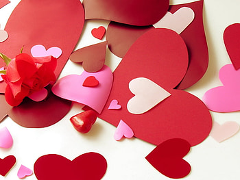 Red rose and hearts, rose, graphy, flower, hearts, red rose, paper, beauty HD wallpaper