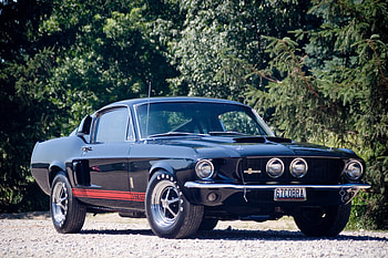 Front, muscle car, Shelby GT500 HD wallpaper