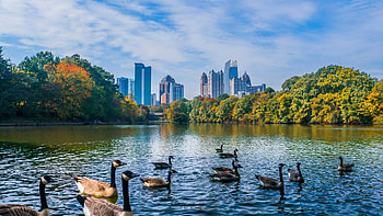 Tree City USA, Montgomery Alabama HD wallpaper