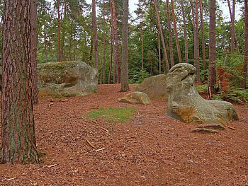 Fontainebleau Forest Barbizon Rocks, trees, leaves, forest, rocks HD wallpaper