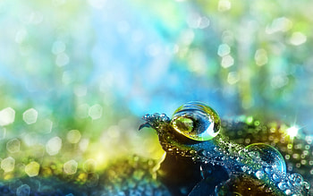 Drops, Macro, Glare, Shine, Light, Bright, Surface HD wallpaper