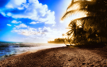 Sunny Bay - summer HD wallpaper