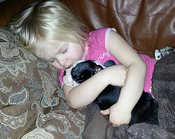 CUDDLE WHILE NAPPING, CUDDLE, CUTE, PUPPY, NAPPING HD wallpaper