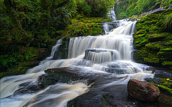 McClean Falls, New Zealand, trees, waterfall, new zealand, nature, rocks HD wallpaper