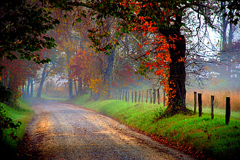 Path HD wallpaper