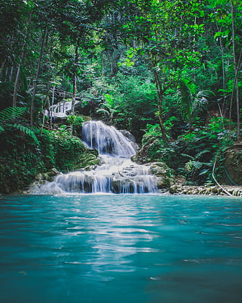 Captivating tropical waterfall cascading through vibrant jungle greenery, a serene nature escape. HD phone wallpaper
