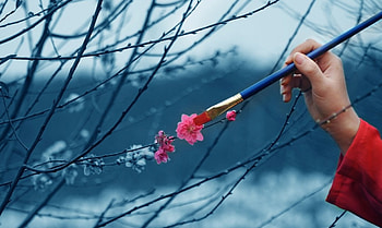 Pink, paint, nature, tree HD wallpaper