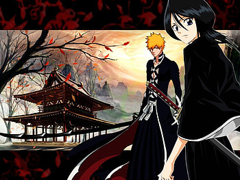 ichiruki japan, , cool, bleach, anime HD wallpaper