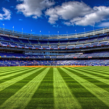 New York Yankees Logo - Cave HD phone wallpaper