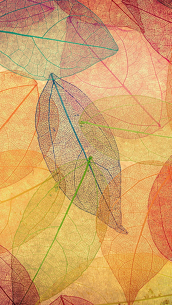 Rainbow Color Leaf Art Fall Nature Pattern 6 HD phone wallpaper