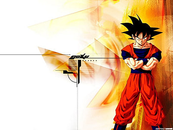 GOKU, anime, dragonballz HD wallpaper