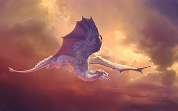 Horse Dragon, horse, dragon, artist, digital-art HD wallpaper