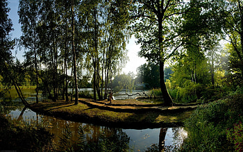 Landscape, Rivers, Trees HD wallpaper