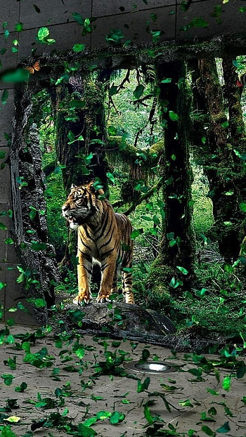 Moving, Tiger, forest HD phone wallpaper