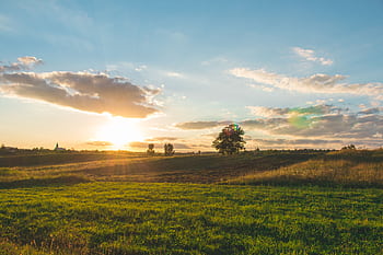 Scenic view of sunset over fields and grassland in Bratca, Romania, capturing rural beauty. HD wallpaper