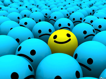 Funny, Background HD wallpaper