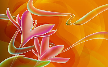 Pink Yulan, flowers, abstract, 3d HD wallpaper