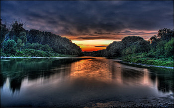 Nature, Trees, Clouds, Lakes, Shore, Fog, Colors, Color, Shores HD wallpaper