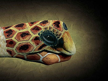 hand_painting_art, painting, art, , cool, hand HD wallpaper