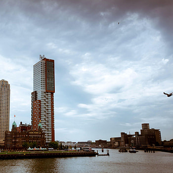 Rotterdam Skyline, Travels HD phone wallpaper