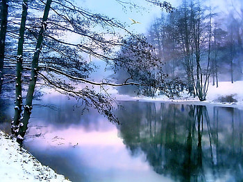 Beautiful winter day, winter, pastel, trees, nature, water, forest, lake HD wallpaper