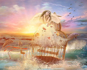 ✫It's Terrific of Somewhere✫, birds, emotional, beautiful girls, digital art, dolphins, butteflies, bow, wings, sea, model, roses, ribbon, sunsets, weird things people wear, bg, cage, backgrounds, creative pre-made, manipulation, softness beauty, sky, flowers HD wallpaper