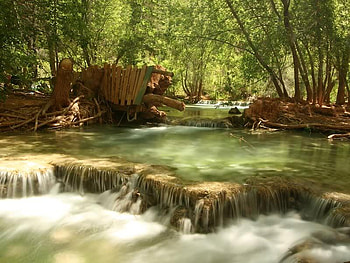 Havasau Falls, Arizona, falls, trees, water, rock HD wallpaper
