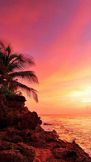 Puerto Rican , Tropical vibes, Island life, Colorful scenes HD phone wallpaper