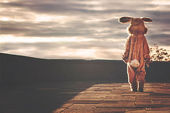A child wearing a rabbit costume stands outdoors against a dramatic sunset sky. HD wallpaper