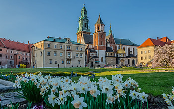 Wawel Castle at Spring, Krakow, narcissus, castle, Poland, church HD wallpaper
