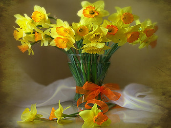 Still Life, bouquet, colors, spring, beauty, petals, yellow flowers, bow, daffodil, daffodils, vase, romance, beautiful, orange, pretty, yellow, with love, nature, romantic, flowers, lovely, for you HD wallpaper