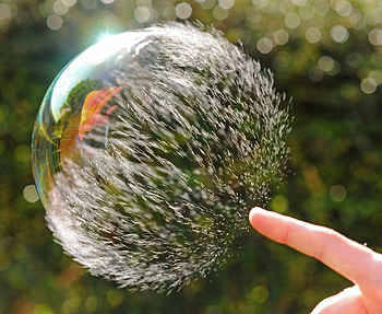 POP, whimsical, bubble HD wallpaper