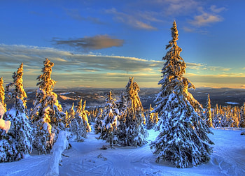 Ireland Winter Scene, snow, clouds, trees, sky, sunset HD wallpaper