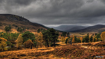 3d nature art, trees, fields, sky, mountains HD wallpaper