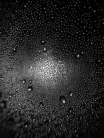 Flowers, Drops, Macro, Bw, Chb, Distortion HD phone wallpaper