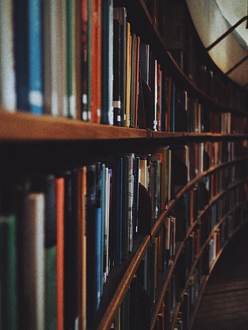 Warm-toned of curved library bookshelves filled with books in Stockholm. HD phone wallpaper