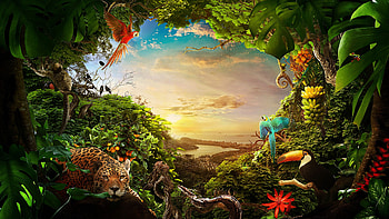 Jungle Animal, Brazilian wildlife, nature , Forest and wildlife beauty HD wallpaper