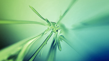 Abstract, Glare, Shine, Light, Form, Pipes, Tubing HD wallpaper