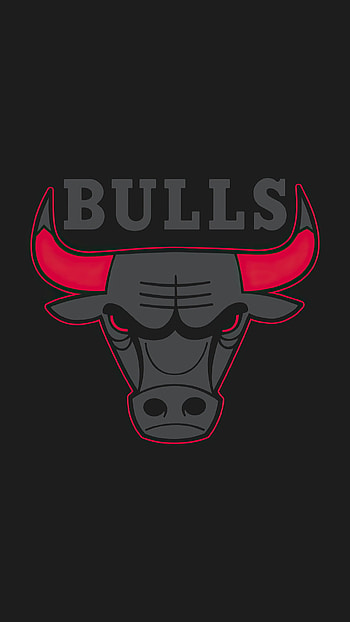 Chicago Bulls, Sports team, Logo HD phone wallpaper
